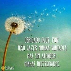 Obrigado Deus