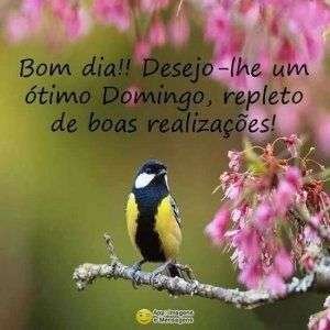 Ótimo domingo