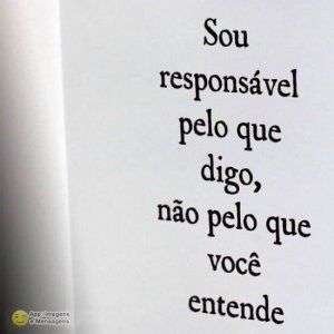 Responsável pelo que digo