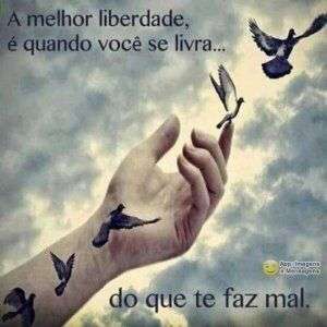 A melhor liberdade