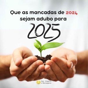 Adubo para o ano novo