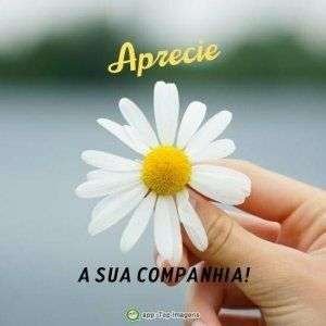 Aprecie a sua companhia