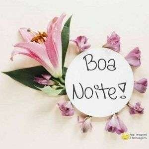 Boa noite