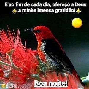Boa noite