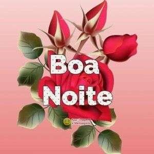 Boa noite