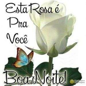 Boa noite