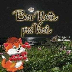 Boa noite