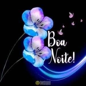 Boa noite