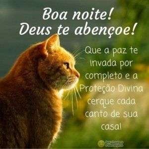 Boa noite