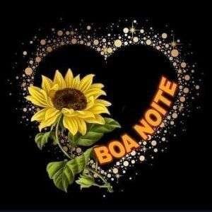 Boa noite