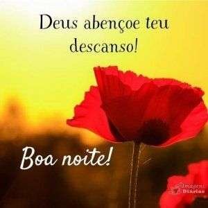 Boa noite