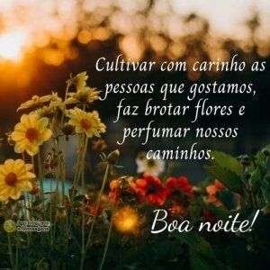 Boa noite