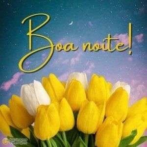 Boa noite