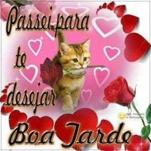 Boa tarde