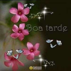 Boa tarde