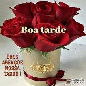 Boa tarde