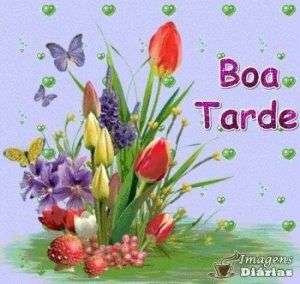 Boa tarde