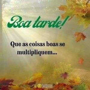 Boa tarde