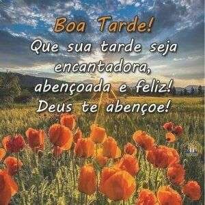Boa Tarde
