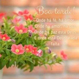 Boa tarde