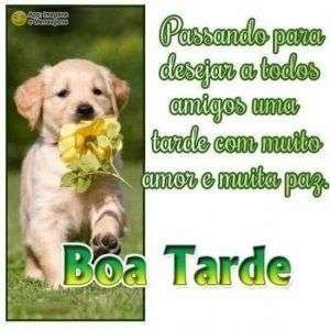 Boa tarde a todos