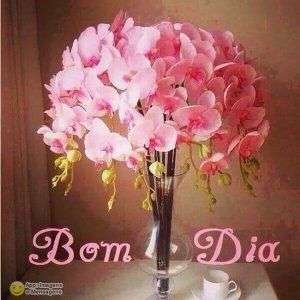 Bom dia