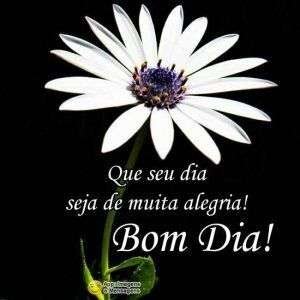 Bom dia