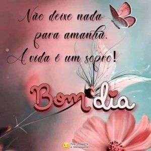 Bom dia
