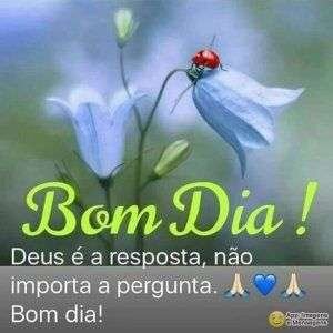 Bom dia