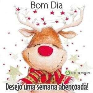 Bom dia