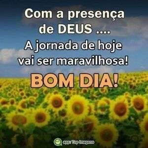 Bom dia