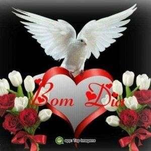 Bom dia