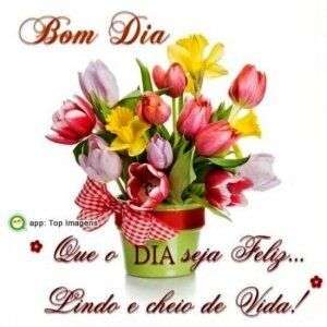 Bom dia