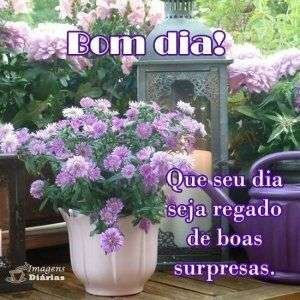 Bom dia