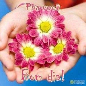 Bom dia