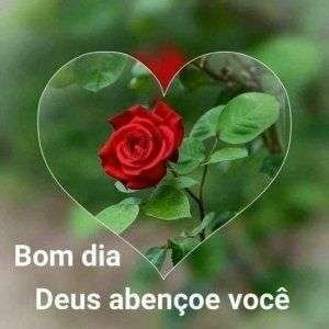 Bom dia
