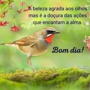 Bom dia