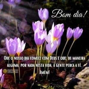 Bom dia
