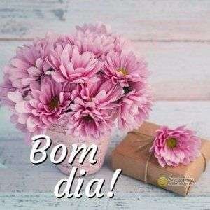 Bom dia