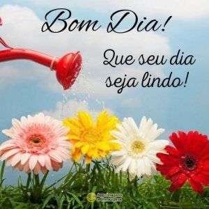 Bom dia