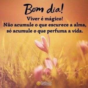 Bom dia