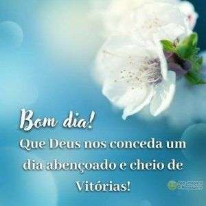 Melhorar o nosso dia