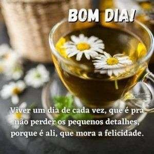 Bom dia com felicidade