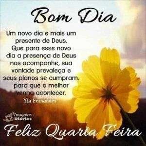 Bom dia de quarta-feira