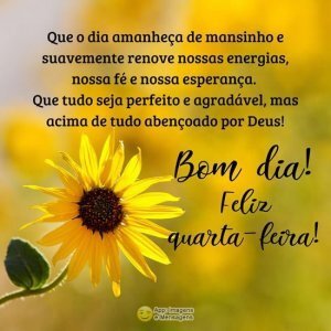 Bom dia de quarta-feira