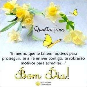 Bom dia de quarta-feira