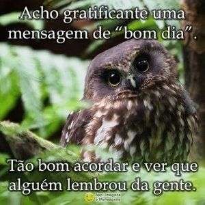 Bom dia lembrei de você