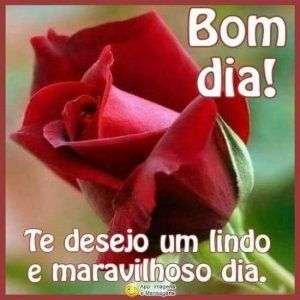 Bom dia maravilhoso