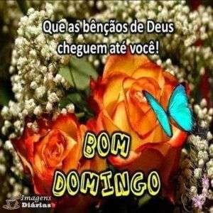 Bom domingo