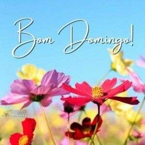 Bom domingo